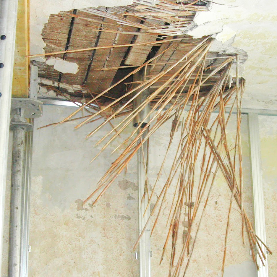 Koelbl Radojkovic 061